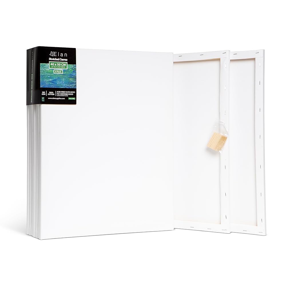 Amazon.co.jp: ELAN 無地張りキャンバス 40×50 cm 普通サイズ